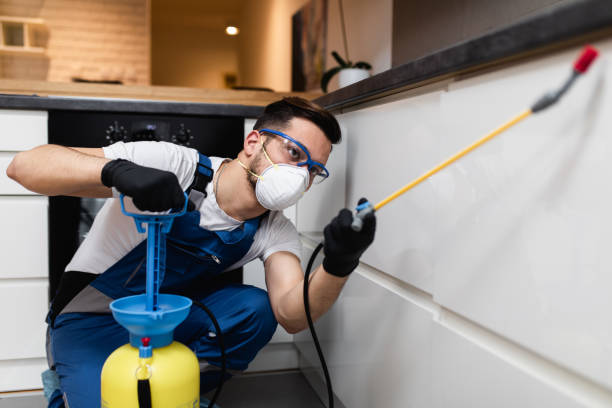 Best Pest Inspection Near Me  in Merritt Park, NY