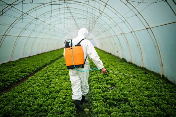 Best Emergency Pest Control  in Merritt Park, NY