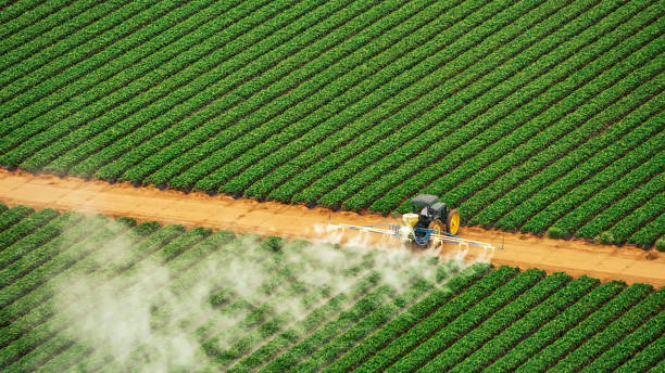 Best Mosquito Control Services  in Merritt Park, NY