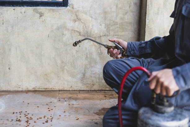 Best Pest Removal Services  in Merritt Park, NY